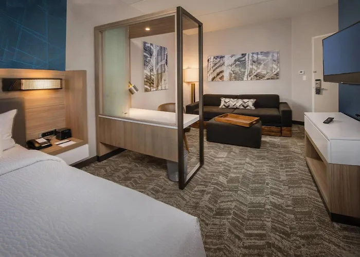Springhill Suites By Marriott Gainesville Haymarket
